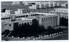 ���� ������ ��� ��� ����